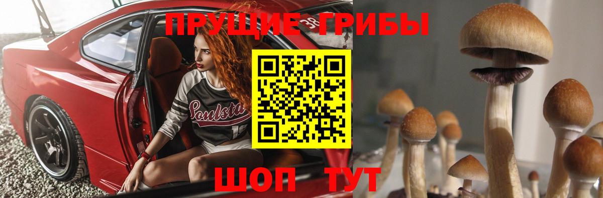 Барнаул  Псилоцибиновые грибы GOLDEN TEACHER  Вход с VPN 