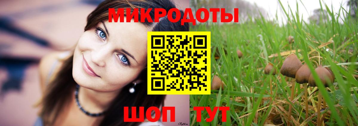 Галлюциногенные грибы прущие грибы Барнаул